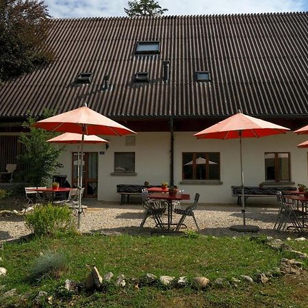 Delemont Youth Hostel Εξωτερικό φωτογραφία